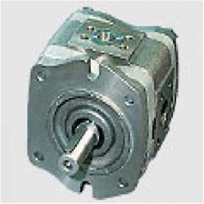 Voith Internal Gear Pump