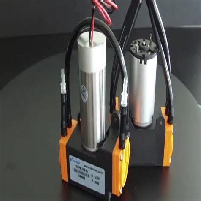 Food Grade Vacuum Pump