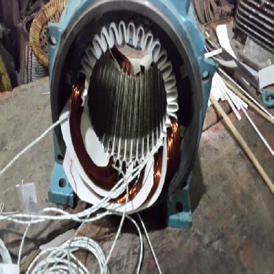 Induction Motor Rewinding Service