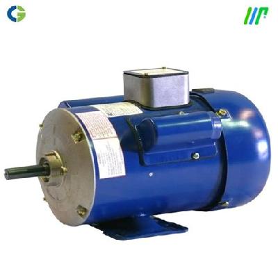 Crompton Induction Motors