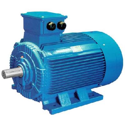 Industrial Induction Motor