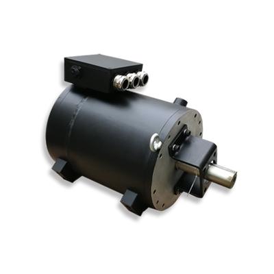 Goldenage servo motor