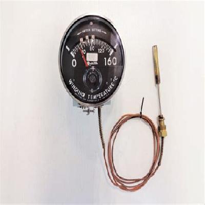 Winding Temperature Indicator