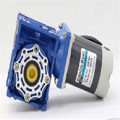 Worm Gear Motor