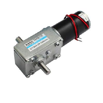 Worm Gear Motor