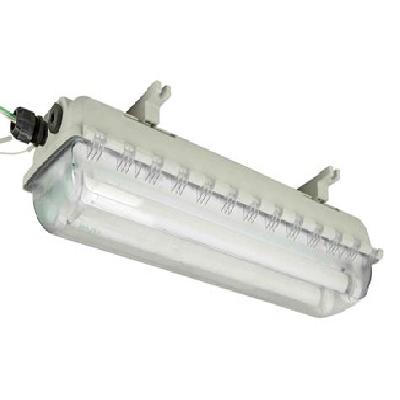 Flameproof Fluorescent Light
