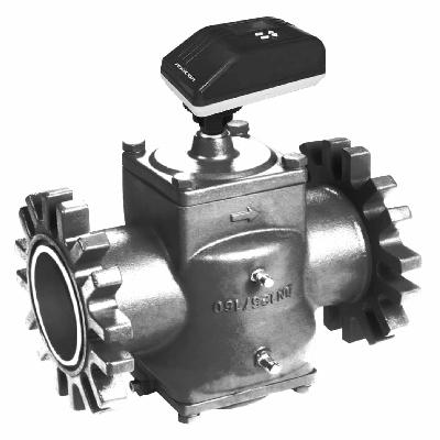 Globe Three Way Control Valve