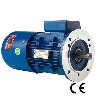Brake Motors