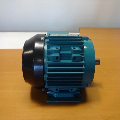 Crompton Industrial Motors