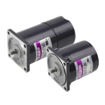 FHP AC Gear Motor