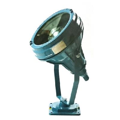 Flameproof Flood Lights