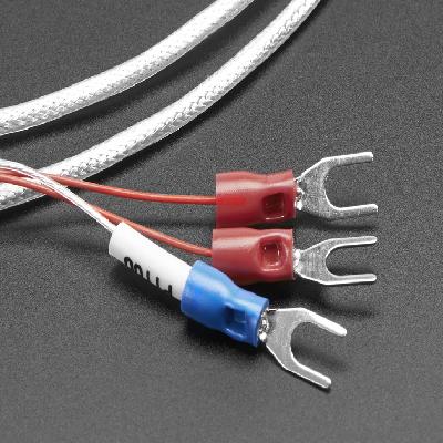 Wire RTD Sensor