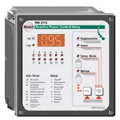 Neptune RM-12 Plus Automatic Power Controller