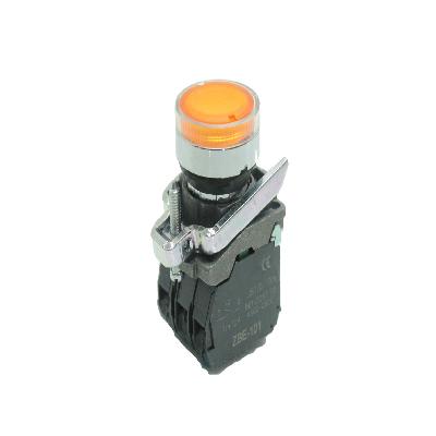 Schneider Push Buttons Switches