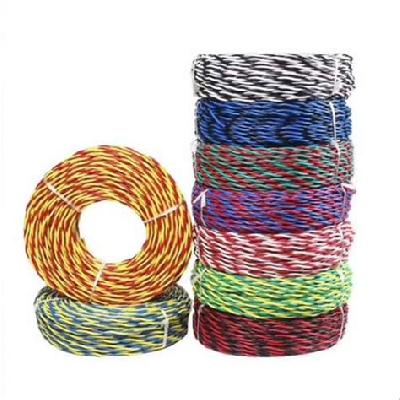 Twin Twisted House Wires
