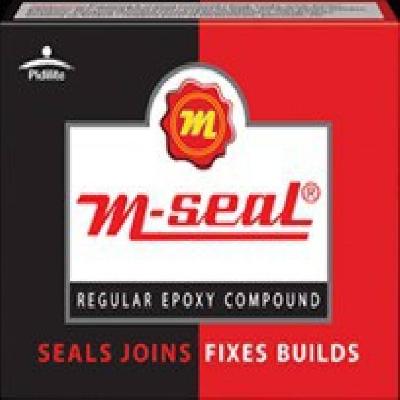 Pidilite M Seal Regular Epoxy Compound