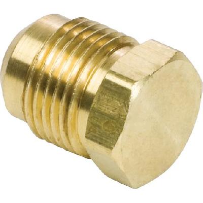 Brass Plug
