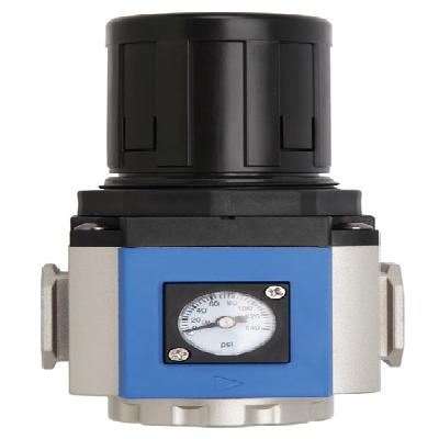 Filter Regulator (Legris Type) with Gauge