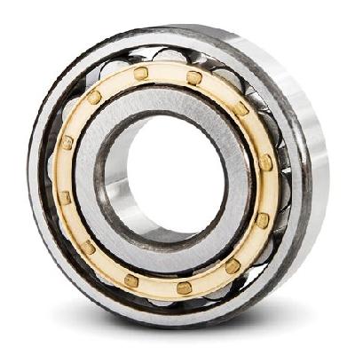 Cylindrical Roller Bearings