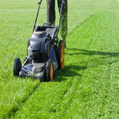 Lawn Mowers