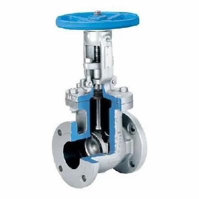 AUDCO  Forged Steel Gate Valves
