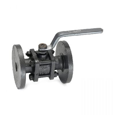 Ball Type Foot Valve  Cast Iron Body (  Screwed End )