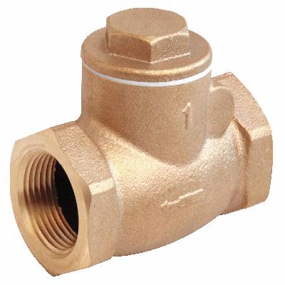 Bronze Controllable Feed Check Valve