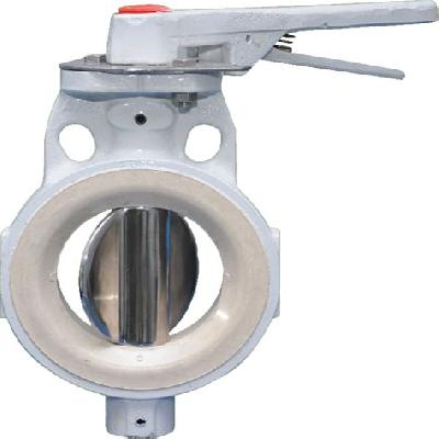 Butterfly Valves Audco 