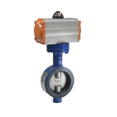 C I Butterfly Valve