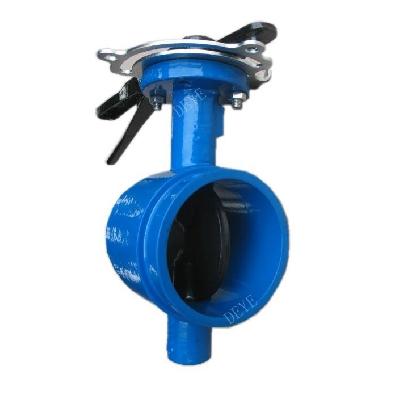 C I Butterfly Valves