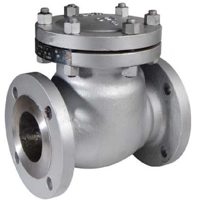 C S Swing Check Valve