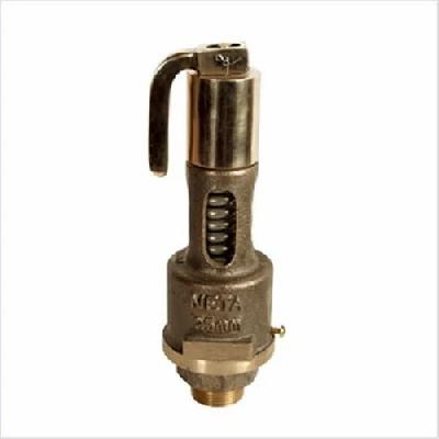 Cast Iron Spring Loaded Single Post Safety Valve