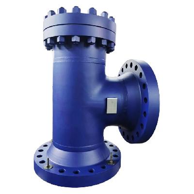 Cast Iron T Type Strainer