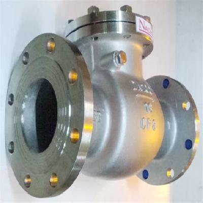 Check Valve Swing Type