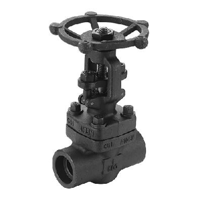 Forged Steel Gate  Globe Valve