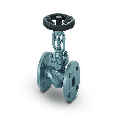 Globe Valve (Gun Metal)