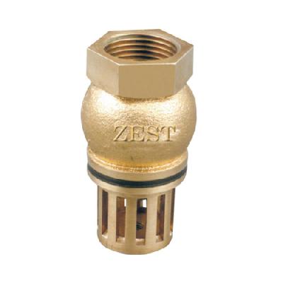 Gun Metal Foot Valves