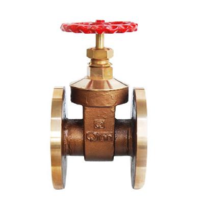 Gun Metal Gate Valve ISI