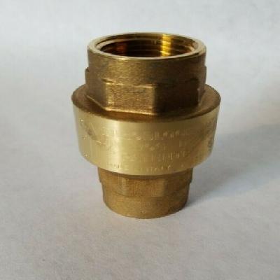 RB Full Bore Check Valve Euroblock 100000