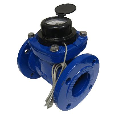 S S 316 Water Meter