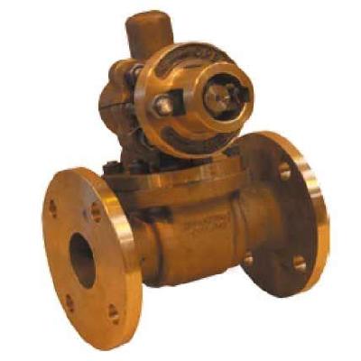 Steam Traps Spirax MAKE