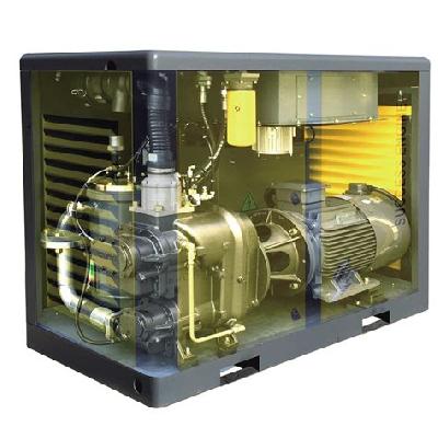 Two Stage Screw Air Compressor