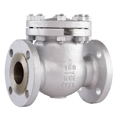 Check Valve