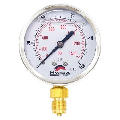 Hydraulic Pressure Gauge