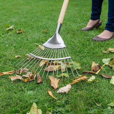 Rake