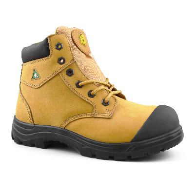 Tiger Safety Shoes