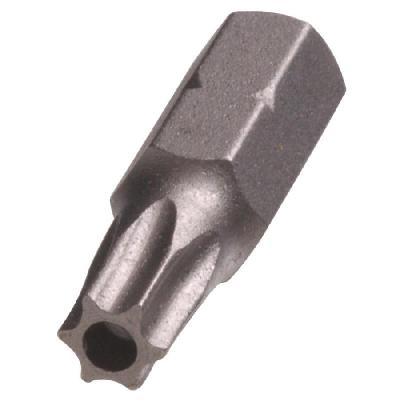 Torx Bit