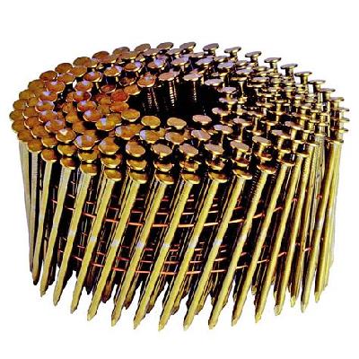 Coil Nail