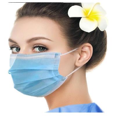 3 Ply Face Mask With Nose Pin