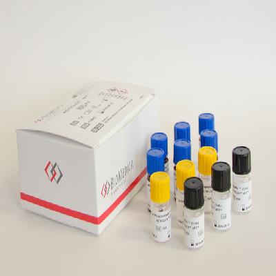 Dpt Test Kit